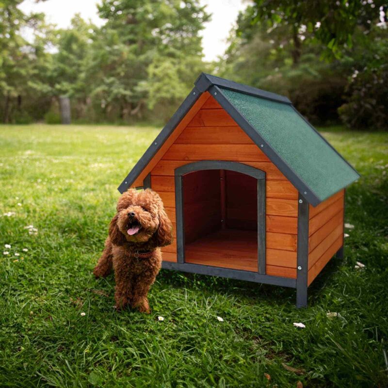 Casetas De Madera Para Perros Calidez Y Seguridad