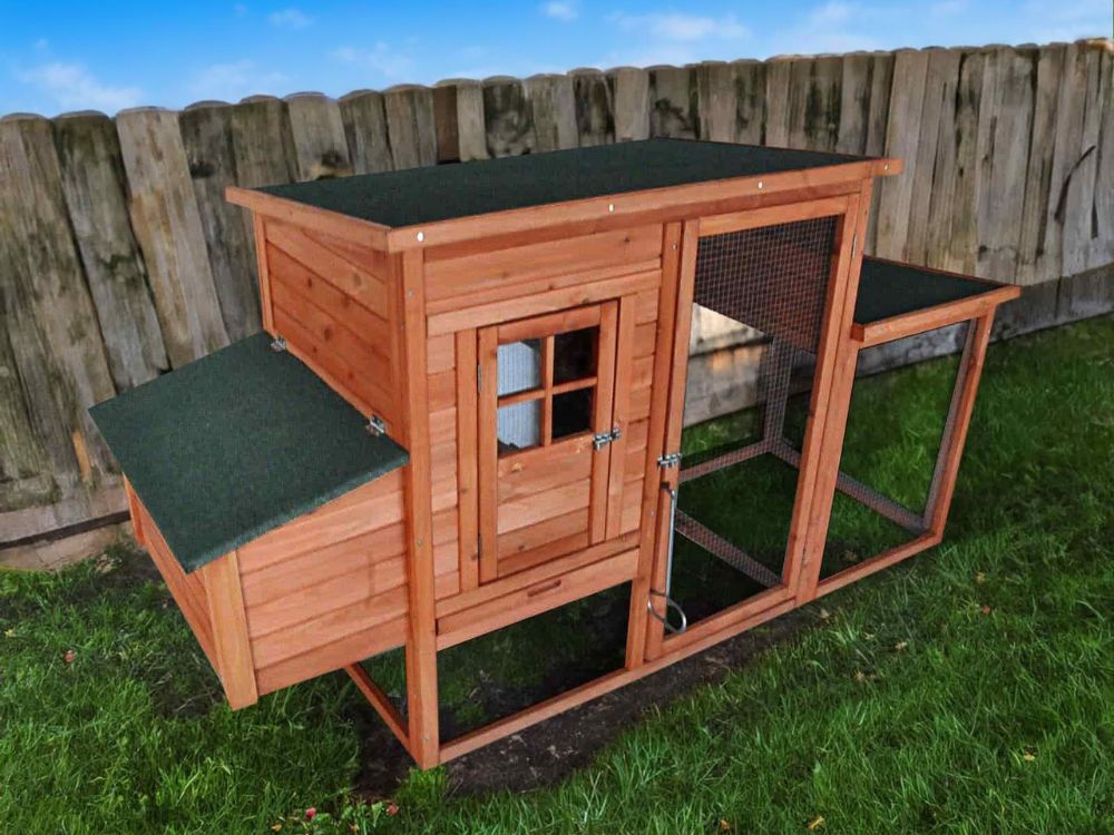 Como ter um galinheiro em casa e criar as tuas próprias galinhas galinheiro para jardim