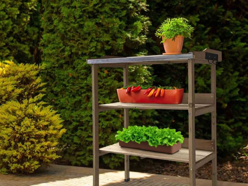 Como preparar a terra para uma horta urbana passo a passo Comparação de terra vegetal, substrato e mistura para horta urbana