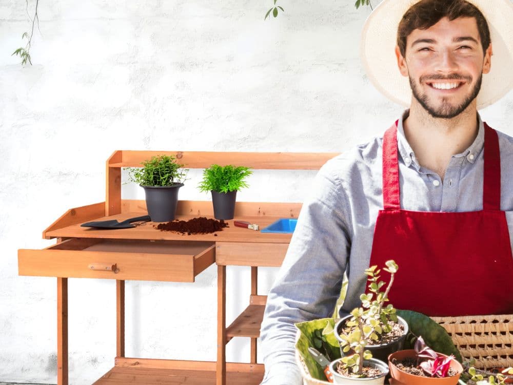 Flores fáceis de cultivar que vão encher o teu jardim de cor flores de exterior faciles de cuidar