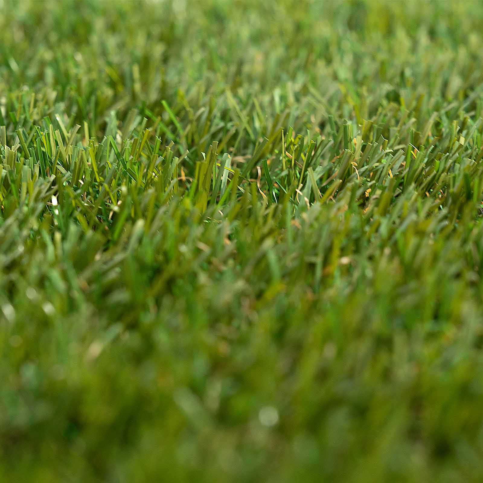 Césped artificial 30 mm de espesor (1000x200 cm) efecto memoria Greenhill Pro III 8 Césped artificial 30 mm de espesor (1000x200 cm) efecto memoria Greenhill Pro III - Imagen 5